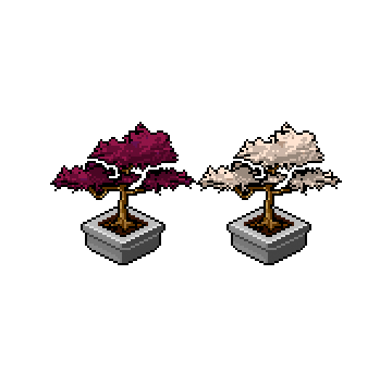 FF_Bonsái Hoja de Brasa y de Luna